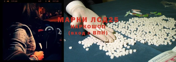 PSILOCYBIN Алексеевка