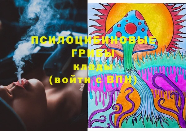 кристаллы Осинники